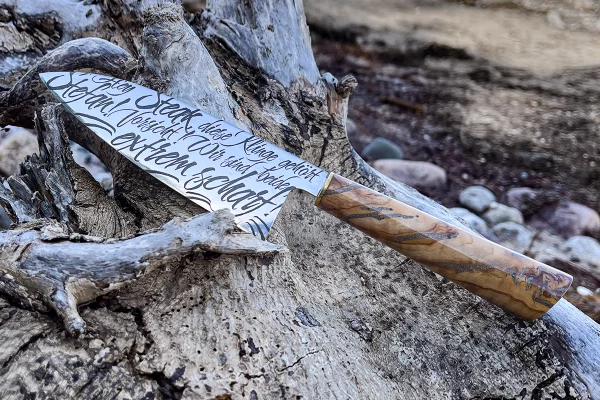 klingen-coach-kuechenmesser-galerie-8-2025