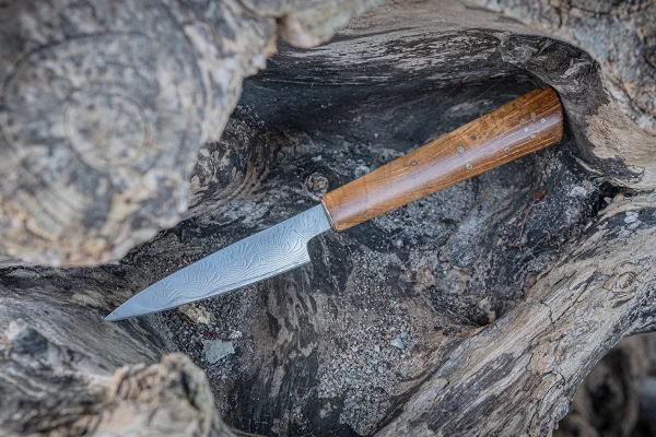 klingen-coach-pairing-knife-galerie-8-2025